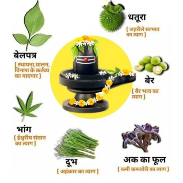 Rudrabhishek Puja
