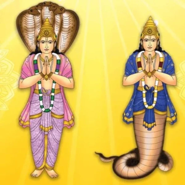 Ketu Shanti Puja