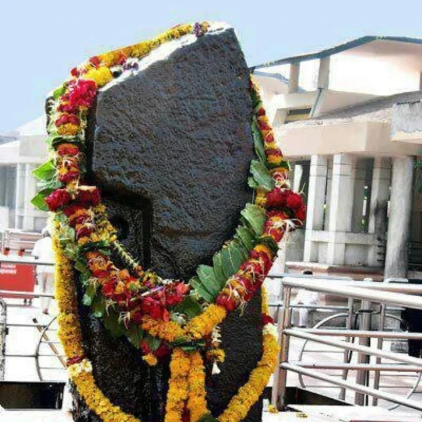Shani Puja to remove the effects of Sade Sati, Shani Dhaiya