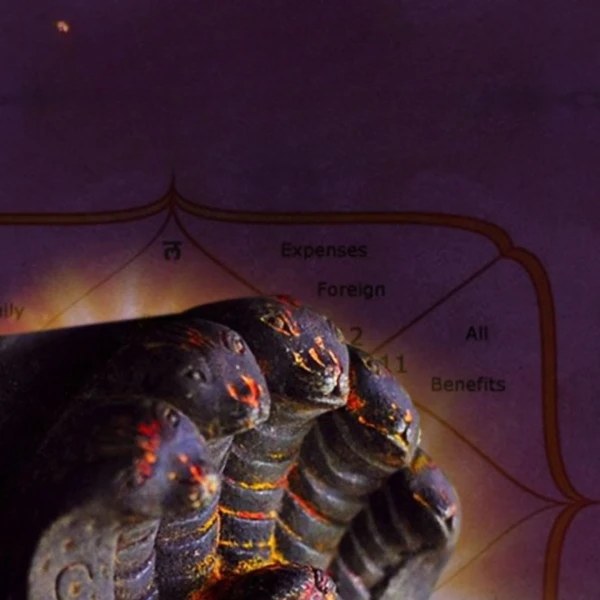 Kaal Sarp Dosha Report