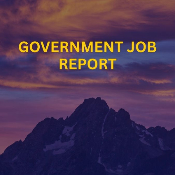 Government Job Report