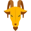 Capricorn
